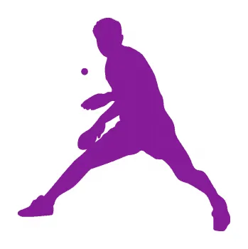 Polep vozidla SAMOLEPKA Ping pong 002 levá (14 - fialová) NA AUTO, NÁLEPKA, FÓLIE, POLEP, TUNING, VLASTNÍ TEXT, TISK, AUTOSAMOLEPKY.cz, POLEPY, OBRÁZEK, LOGO, SAMOLEPKY