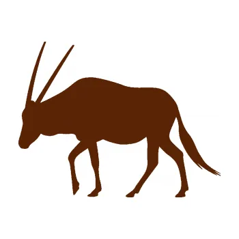 Samolepící dekorace SAMOLEPKA Antilopa 001 levá (15 - hnědá) NA AUTO, NÁLEPKA, FÓLIE, POLEP, TUNING, VLASTNÍ TEXT, TISK, AUTOSAMOLEPKY.cz, POLEPY, OBRÁZEK, LOGO, SAMOLEPKY