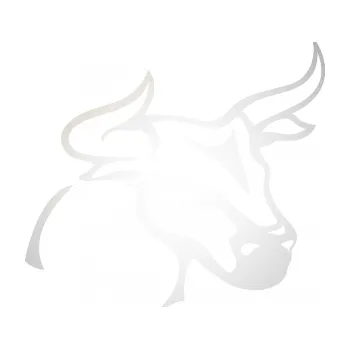 Samolepící dekorace Býk 005 pravá (82 - odrazková reflexní bílá) SAMOLEPKA NA AUTO, NÁLEPKA, FÓLIE, POLEP, TUNING, VLASTNÍ TEXT, TISK, AUTOSAMOLEPKY.cz, POLEPY, OBRÁZEK, LOGO, 3D STICKERS
