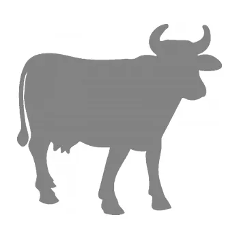 Samolepící dekorace SAMOLEPKA Kráva 002 pravá (17 - šedá) NA AUTO, NÁLEPKA, FÓLIE, POLEP, TUNING, VLASTNÍ TEXT, TISK, AUTOSAMOLEPKY.cz, POLEPY, OBRÁZEK, LOGO, SAMOLEPKY