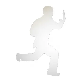 Polep vozidla Karate 002 pravá (82 - odrazková reflexní bílá) SAMOLEPKA NA AUTO, NÁLEPKA, FÓLIE, POLEP, TUNING, VLASTNÍ TEXT, TISK, AUTOSAMOLEPKY.cz, POLEPY, OBRÁZEK, LOGO, 3D STICKERS