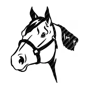 Samolepící dekorace SAMOLEPKA Kůň 040 levá (50 - 3D karbon černý) NA AUTO, NÁLEPKA, FÓLIE, POLEP, TUNING, VLASTNÍ TEXT, TISK, AUTOSAMOLEPKY.cz, POLEPY, OBRÁZEK, LOGO, SAMOLEPKY