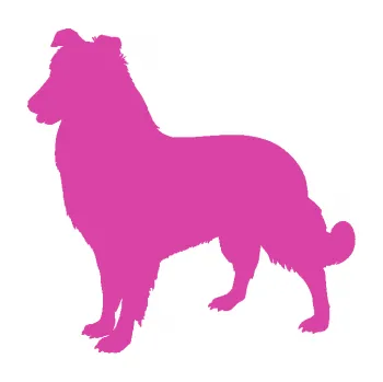 Polep vozidla SAMOLEPKA Pes 084 levá Kolie (16 - růžová) NA AUTO, NÁLEPKA, FÓLIE, POLEP, TUNING, VLASTNÍ TEXT, TISK, AUTOSAMOLEPKY.cz, POLEPY, OBRÁZEK, LOGO, SAMOLEPKY