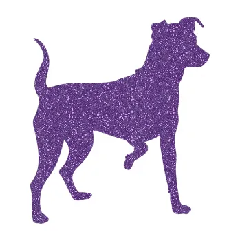 Polep vozidla SAMOLEPKA Pes 075 pravá Pražský krysařík (87 - Ultra Metalic fialová) NA AUTO, NÁLEPKA, FÓLIE, POLEP, TUNING, VLASTNÍ TEXT, TISK, AUTOSAMOLEPKY.cz, POLEPY, OBRÁZEK, LOGO, SAMOLEPKY