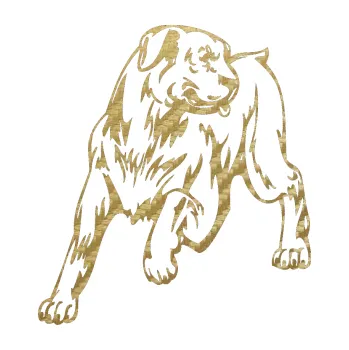 Polep vozidla SAMOLEPKA Pes 020 levá (59 - 3D karbon zlatý) NA AUTO, NÁLEPKA, FÓLIE, POLEP, TUNING, VLASTNÍ TEXT, TISK, AUTOSAMOLEPKY.cz, POLEPY, OBRÁZEK, LOGO, SAMOLEPKY