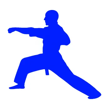 Polep vozidla Judo 001 levá (19 - modrá dynamic) SAMOLEPKA NA AUTO, NÁLEPKA, FÓLIE, POLEP, TUNING, VLASTNÍ TEXT, TISK, AUTOSAMOLEPKY.cz, POLEPY, OBRÁZEK, LOGO, 3D STICKERS