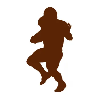 Polep vozidla Americký fotbal 009 levá (15 - hnědá) SAMOLEPKA NA AUTO, NÁLEPKA, FÓLIE, POLEP, TUNING, VLASTNÍ TEXT, TISK, AUTOSAMOLEPKY.cz, POLEPY, OBRÁZEK, LOGO, 3D STICKERS