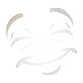 Samolepící dekorace SAMOLEPKA Obličej 004 pravá šťastný (82 - odrazková reflexní bílá) NA AUTO, NÁLEPKA, FÓLIE, POLEP, TUNING, VLASTNÍ TEXT, TISK, AUTOSAMOLEPKY.cz, POLEPY, OBRÁZEK, LOGO, SAMOLEPKY