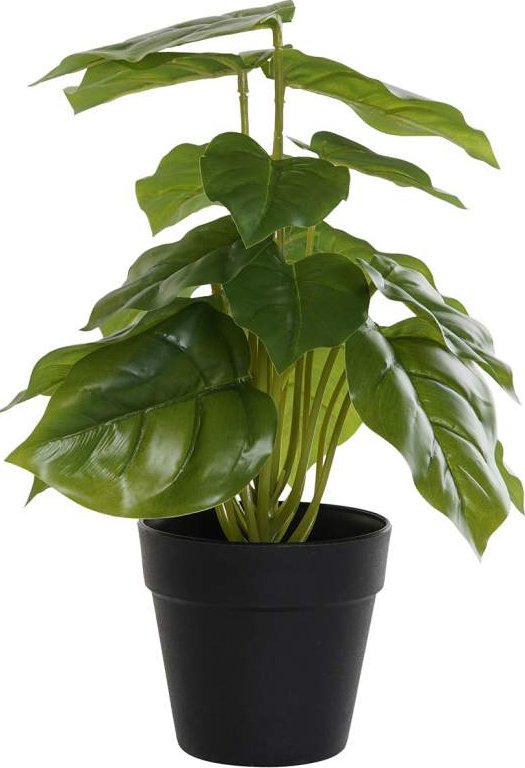 Dekorace "FILODENDRON" v květníku 20x30