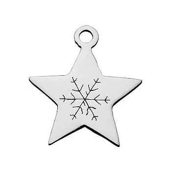 Přívěsek Přívěsek hvězdička s vločkou 15x14mm chirurgická ocel