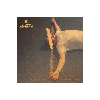 Zahraniční hudba We Forgot We Were Dreaming / Vinyl - Saint Raymond [LP]