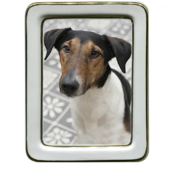Smuteční dekorace Fotografie na hrob pro psa nebo kočku - Obdélník Bohemia