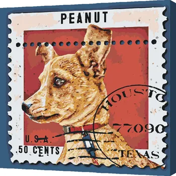 Malování podle čísel - Psí známka Velikost: 50x50cm, Rámování: Pouze srolované plátno