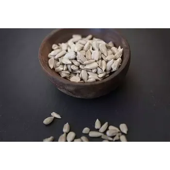 Sušená potravina BIO slunečnicová semínka RAW, 500 g