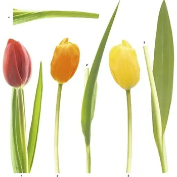 Samolepící dekorace Samolepka na zeď, motiv květiny, červeno-žlutá