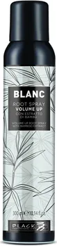 Stylingový přípravek Black Blanc Volume Up Root Spray sprej pro objem jemných vlasů 300 ml