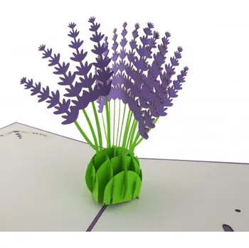 3D přání - Levandule , promoce - dárek k promoci