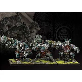 Desková hra Para Bellum Wargames Conquest W'adrhun: Warbred