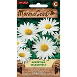 MoravoSeed Kopretina velkokvětá 300 ks