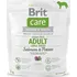 Krmivo pro psa Brit Care Grain free Adult Large Breed Salmon/Potato