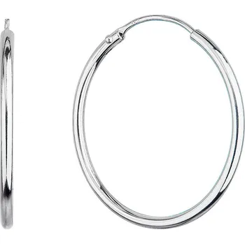 Náušnice EVOLUTION GROUP CZ Stříbrné náušnice kruhy 25 mm - 61003