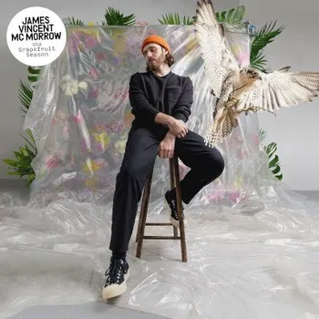 Zahraniční hudba James Vincent McMorrow - Grapefruit Season (CD, 19439852952)