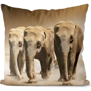 Dekorativní polštářek Polštář Stádo slonů (Velikost: 40 x 40 cm)