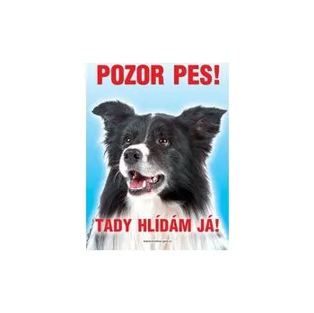 Grel nálepka pozor pes border kolie