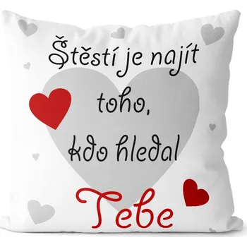 Dekorativní polštářek Polštářek Štěstí je najít toho, kdo hledal tebe (Velikost: 40 x 40 cm)