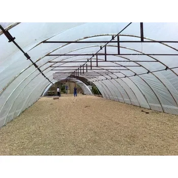 Fólie na fóliovník FLOBAL Plachty na fóliovníky čirá, 135g/m2, 4x5 m