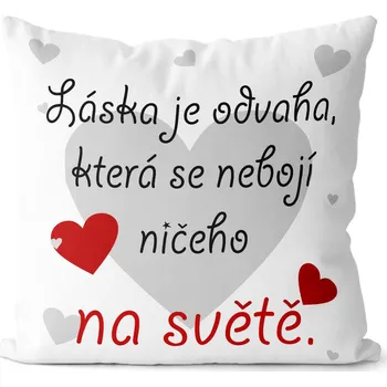 Dekorativní polštářek Polštářek Láska je odvaha (Velikost: 40 x 40 cm)