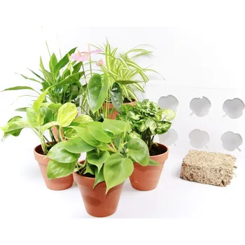 Obraz Obraz z živých rostlin Hoh! Uno "Osázej si sám", bílá