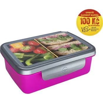 Svačinový box ZDRAVÁ SVÁČA RECEPTY se SLEVOVÝM KUPÓNEM VZS18760