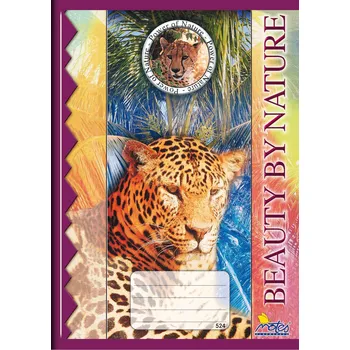 Sešit Notes Školní sešit A5 524 20 listů linkovaný mix motivů