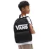 Městský batoh VANS Kids New Skool Backpack VN0002TLY28