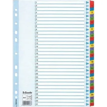 Archivační box Zesílené rejstříky Mylar, mix barev, karton, A4, 1-31, ESSELTE