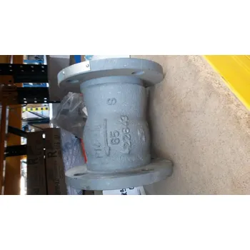 Ventil Ventil zpětný Z35 117 516 DN 65 PN 16 přírubový