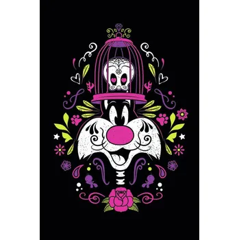 Plakát Plakát, Obraz - Kačer Daffy - Sylvester