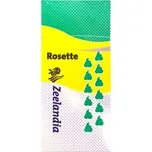 Zeelandia Rosette rostlinná slazená…