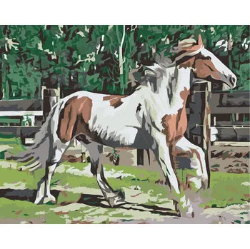 Malování podle čísel - Koník v ohradě Velikost: 40x50cm, Rámování: Pouze srolované plátno