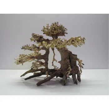 Akvaria.cz Bonsai wood M (BW40281)