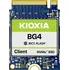 SSD disk KIOXIA BG4 1 TB (KBG40ZNS1T02)