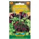 Nohel garden Rococo kopřivěnka zkřížená…