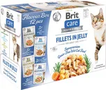 Brit Care Cat Fillets in Jelly Flavour…