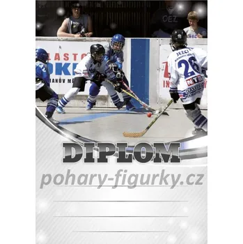 Diplom hokejbal 6611