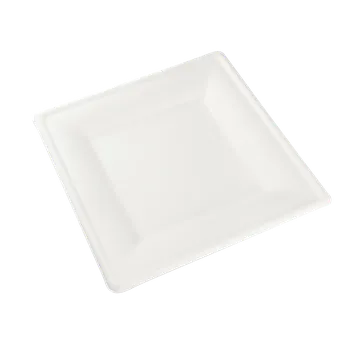 Jednorázové nádobí EcoPack Talíř EKO z cukrové třtiny 26 x 26 cm čtvercový bílý bal/50 ks