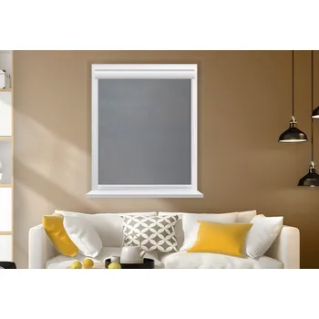 Roleta Rolux Vnitřní zatemňující roleta Color hit Světle šedá (NEW YORK 5800), 1000 mm, 600 mm