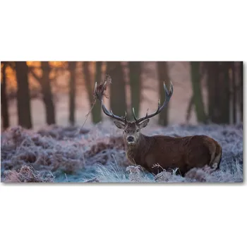 Obraz Foto-obraz na skle horizontální Jelen východ slunce