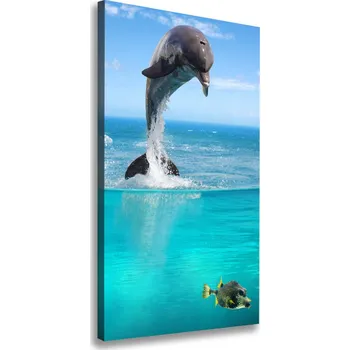 Obraz Vertikální Foto obraz canvas Podvodní svět