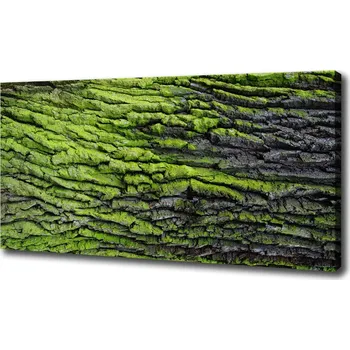 Obraz Foto obraz na plátně Kůra stromu